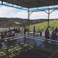 Quán cafe không gian đẹp ở Đà Lạt Quán cafe không gian đẹp ở Đà Lạt